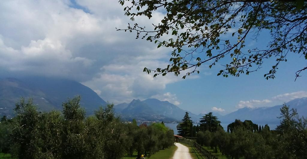 Appartamento Agata San Felice del Benaco Ngoại thất bức ảnh